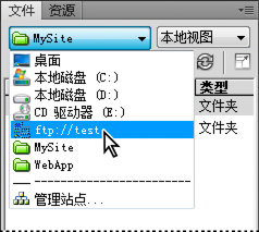 此图显示展开的“文件”面板及在其中选择的 FTP 服务器。